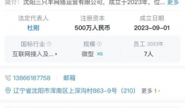 沈阳短视频运营,打造城市魅力新名片