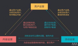 新媒体与短视频运营,新媒体运营新趋势解析