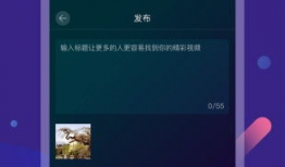 在线播放短视频,在线播放的精彩瞬间回顾